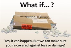 Package Insurance
